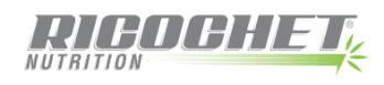 ricochet